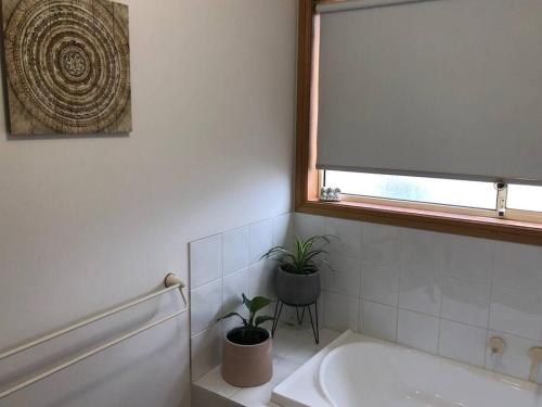 a bathroom with a sink and two plants in it at Sunshine Apartment in Austins Ferry