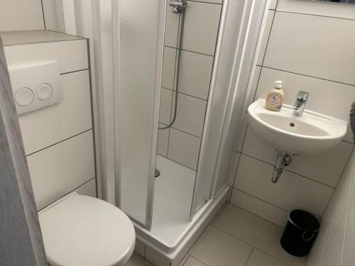 uma casa de banho com um chuveiro, um WC e um lavatório. em Pension Sonnenschein em Halle an der Saale