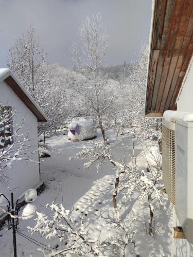 Gallery image of Gabala Semerena Riverside Hotel in Gabala