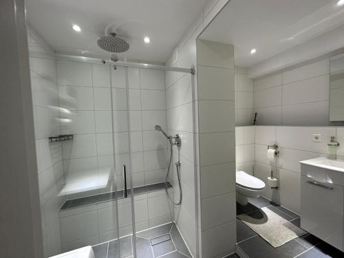 a bathroom with a shower and a toilet at The perfect room in Karlsruhe
