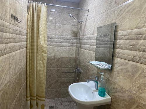 Koupelna v ubytování Guesthouse Aygestan