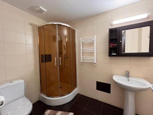 a bathroom with a shower and a toilet and a sink at Pensiunea Nys in Iaşi