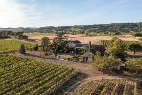 una vista aérea de un viñedo y una casa en Au Sigala, en Lisle-sur-Tarn