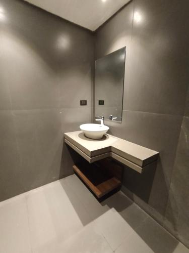 a bathroom with a sink and a mirror at Hotel Gagan Plaza in Kānpur