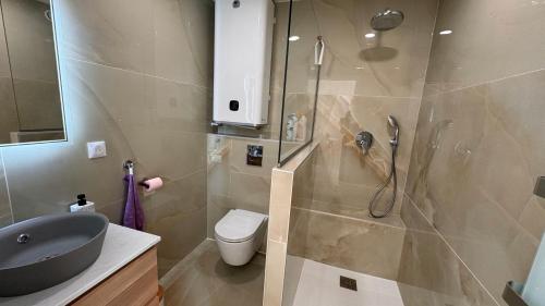 a bathroom with a shower and a sink and a toilet at Studio climatisé 600m de la plage in Cagnes-sur-Mer