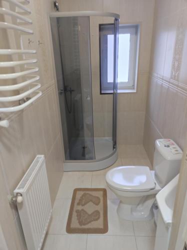 a bathroom with a shower and a toilet and a sink at Margo in Yaremche