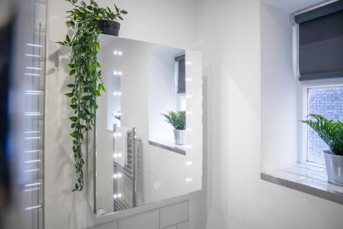 a bathroom with a mirror and plants on the wall at Spacious homely 1 Bed Apartment in Hartlepool in Hartlepool