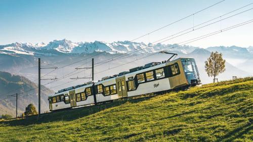 a train on a hill with mountains in the background at Cozy Boutique Apartment at Mt. Rigi in Goldau