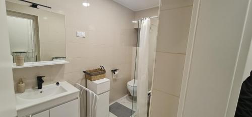 La salle de bains blanche est pourvue d'un lavabo et d'une douche. dans l'établissement APARTMA DOMENIKA, à Ptuj