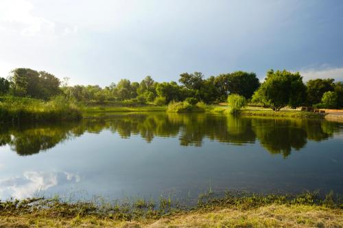 a large lake with trees in the background at Rustic River & Bush Escape in Buffelspoort