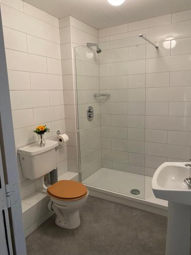 a bathroom with a shower and a toilet and a sink at Apartment 2 @ Clifden Bay Apartments in Clifden