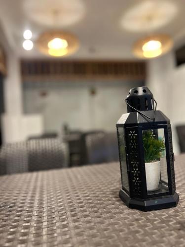 a lantern with a plant in it sitting on a table at Sunny Terrace in Baler
