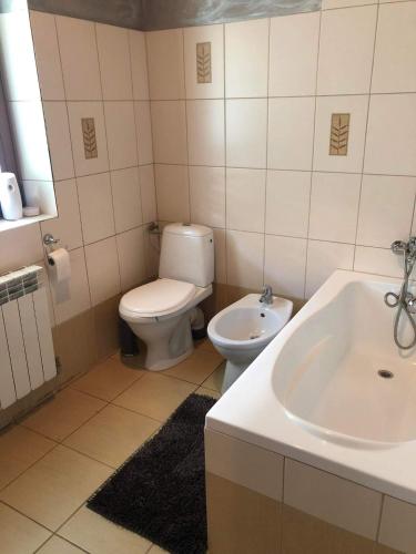 a bathroom with a toilet and a sink at Dom pod Złotą Łyżwą in Krynica Zdrój