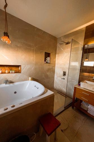 a bathroom with a tub and a glass shower at Casa MUKAU Buenos Aires in Buenos Aires