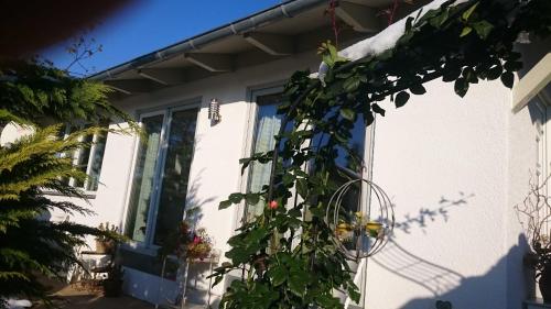 ein weißes Haus mit einem Fenster und einer Pflanze in der Unterkunft b Ferienhaus Unterfranz II b in Bad Doberan