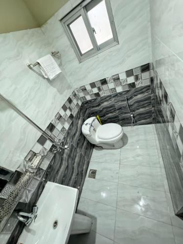 a bathroom with a toilet and a sink at Decent Lodge Guest House F-10 in Islamabad