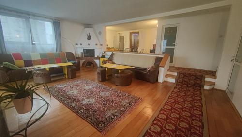 ein Wohnzimmer mit einem Sofa und einem Teppich in der Unterkunft Casa Ciubărului Bran in Predeluţ