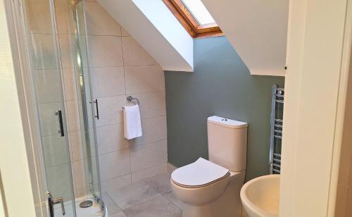 a bathroom with a toilet and a glass shower at Dingle Holiday Homes (S7) in Dingle