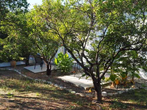 een rij bomen in een park met een stoep bij Nikos 8 in Kakóvatos