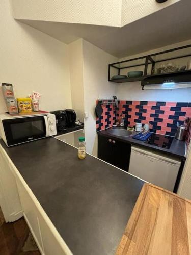 a kitchen with a counter top with a microwave at Appartement cosy proche métro in Ivry-sur-Seine
