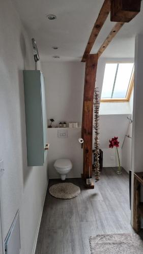 Vonios kambarys apgyvendinimo įstaigoje Gite La Passerelle