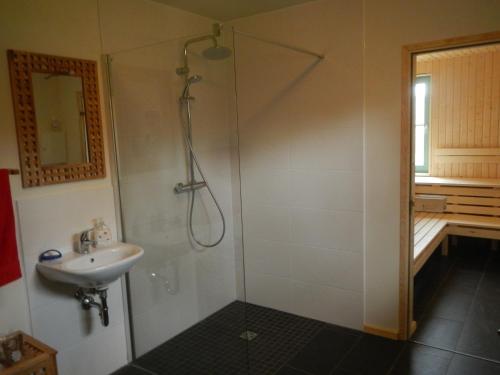 a bathroom with a shower and a sink at Ferienlandhaus Zempow in Zempow