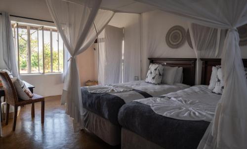une chambre avec deux lits et une chaise et une fenêtre dans l'établissement Shalimpo Safari Home - Mashatu Game Reserve, à Lentswelemoriti
