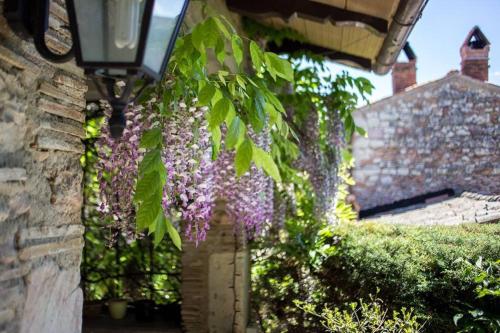 Villa Le Casaline – Photos 3