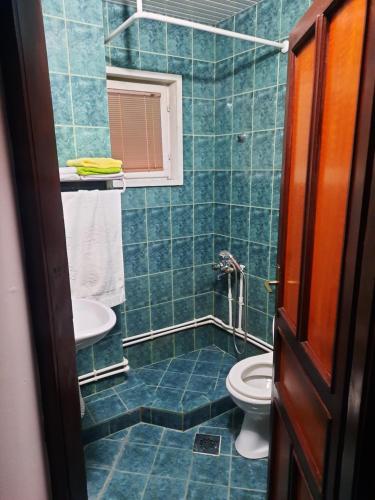 a blue tiled bathroom with a toilet and a sink at Apartment's DAMJAN - Kruševo in Kruševo
