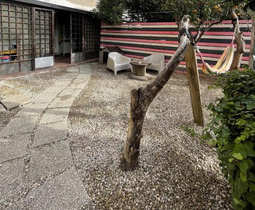 a tree stump in the middle of a yard at La casa di Judy e Frank in Tarquinia