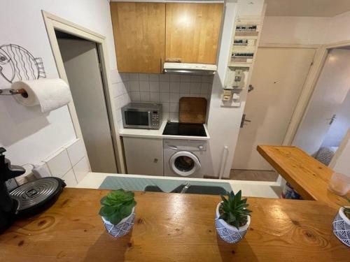 - une cuisine avec une table en bois et 2 plantes dans l'établissement P55 3 pièces lumineux et calme sur les toits LOCATION MOBILITÉ 1 MOIS MINIMUM, à Strasbourg