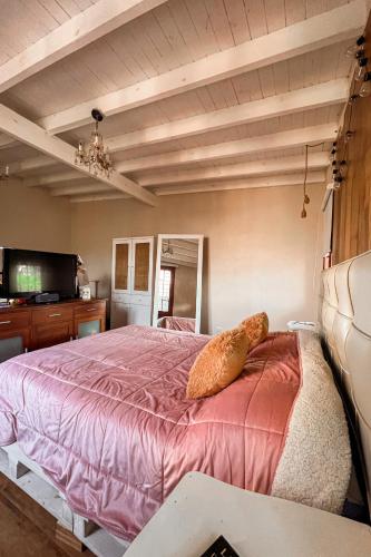 a bedroom with a large pink bed in a room at Casa MUKAU Buenos Aires in Buenos Aires