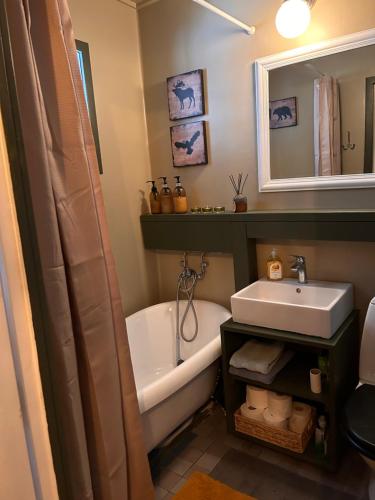 ein Badezimmer mit einer Badewanne, einem Waschbecken und einer Badewanne in der Unterkunft Dala Cottage in Ulriksberg
