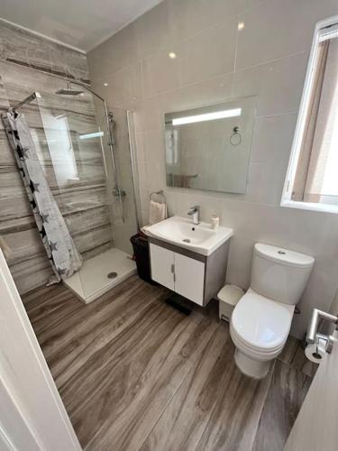 ein Bad mit einem WC, einem Waschbecken und einer Dusche in der Unterkunft 2 Bedroom Apartment in Msida, Malta in Msida