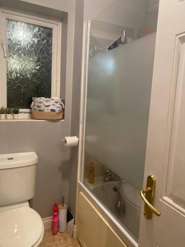 a bathroom with a shower and a toilet and a window at Packwood Suite in Welton