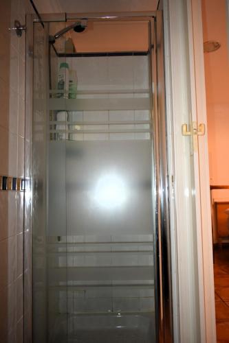 a shower with a glass door in a bathroom at Beachback Studio Airport in La Garita