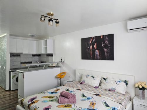 Il comprend une petite chambre avec un lit et une cuisine. dans l'établissement Vio's Galati Apartment, à Galaţi