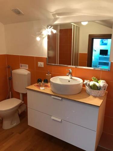 ボローニャにあるB&B A Modo Mioの洗面台、トイレ、鏡のあるバスルーム