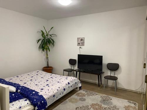 a bedroom with a bed and a flat screen tv at Ardelean Apartment in Oradea