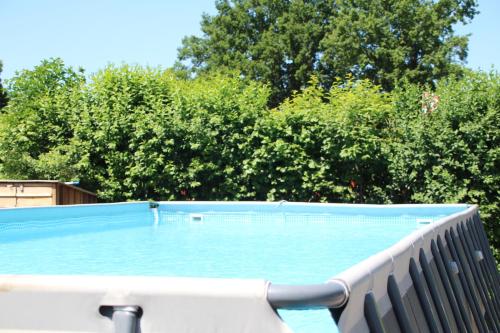 a swimming pool with a chair and trees at Camping de Kuilen in Someren