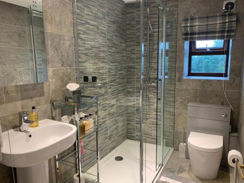 a bathroom with a shower and a sink and a toilet at Beaconsfield Farm in Wells