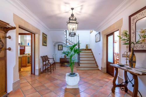 a living room with a potted plant and a staircase at Villa Sanchez in Campos