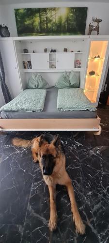 a dog laying on the floor under a bed at Koasablick in Ebbs