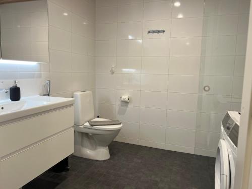 a white bathroom with a toilet and a sink at Kodikas keskustayksiö autohallipaikalla in Turku