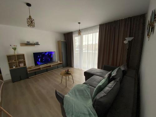 - un salon avec un canapé et une télévision dans l'établissement Urban Alexa Home, à Braşov