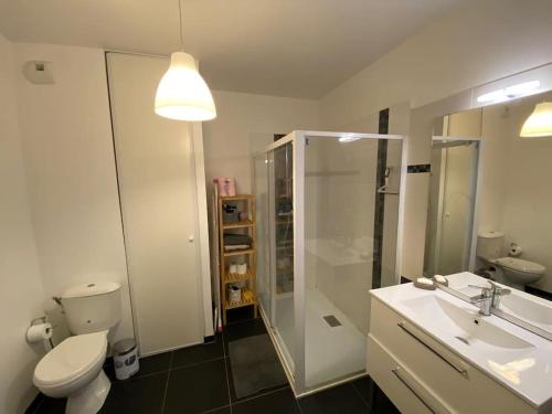 une salle de bain avec toilettes, lavabo et douche dans l'établissement Appartement à l'entrée d'Arcachon vue bassin, à La Teste-de-Buch