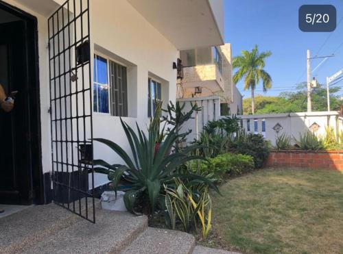 una casa con una planta delante de una puerta en House prado en Barranquilla