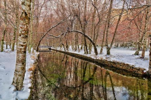 a forest with snow and trees and a river at Chalé Zimbro, Serra da Estrela, Penhas da Saúde in Penhas da Saúde