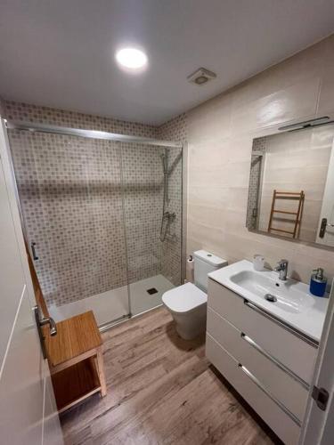 a bathroom with a toilet and a sink and a shower at El Balcón de Bolingas in Comillas