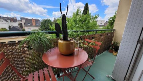 une petite table avec un cactus sur un balcon dans l'établissement T2 vue Cathédrale de Nantes, à Nantes